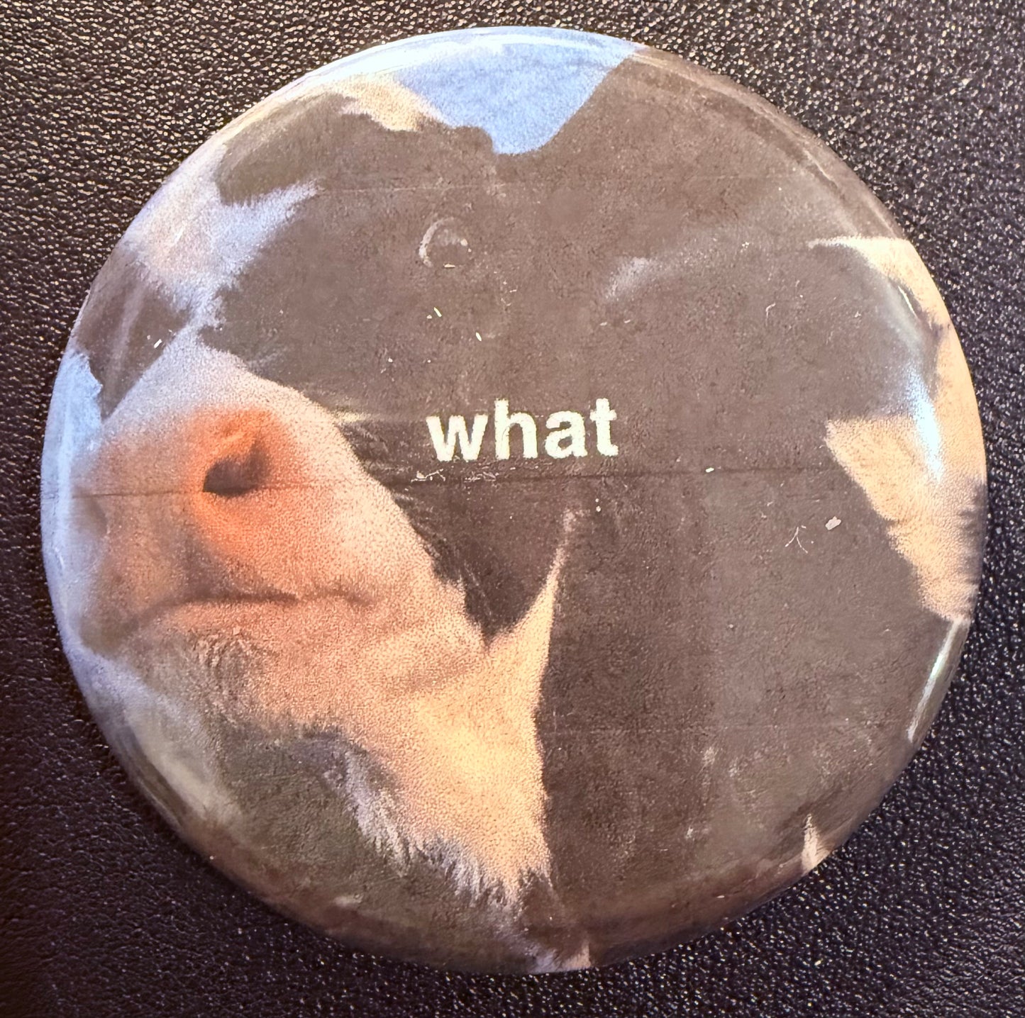 Mary's Button Pins