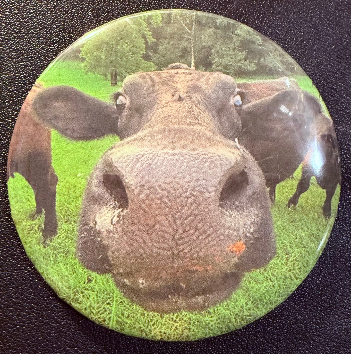 Mary's Button Pins