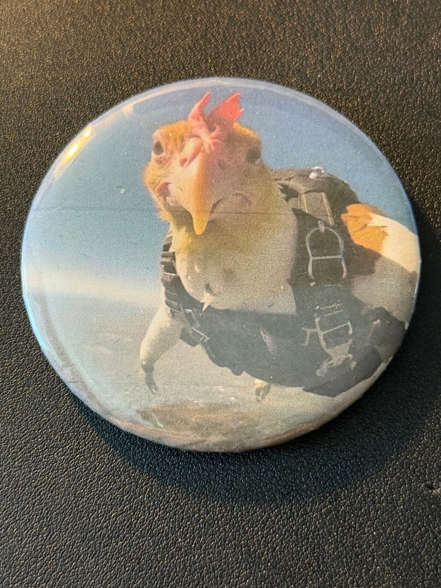Mary's Button Pins