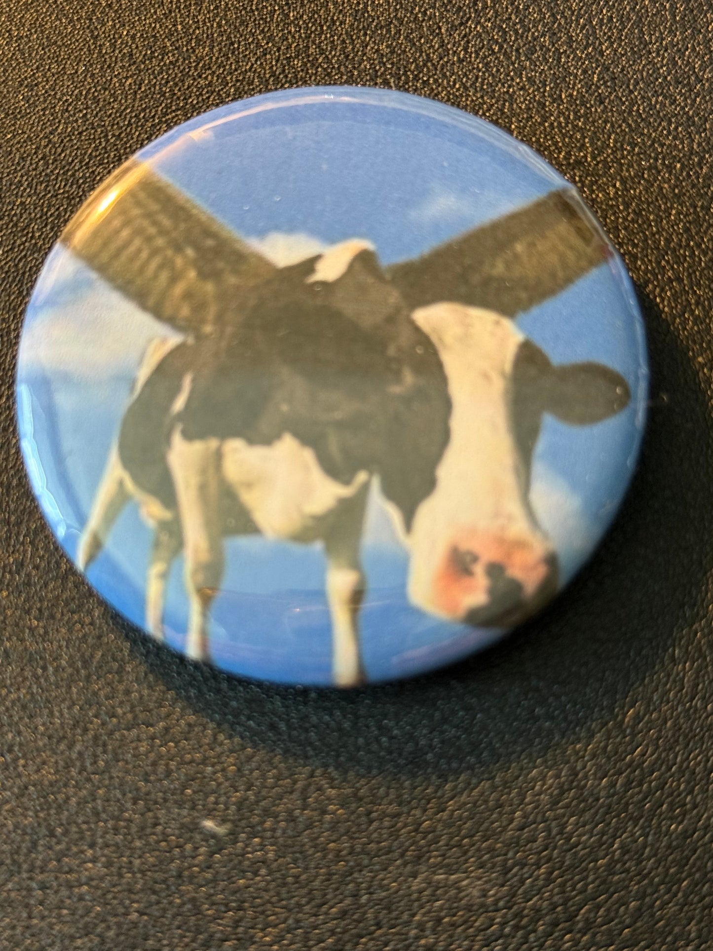 Mary's Button Pins