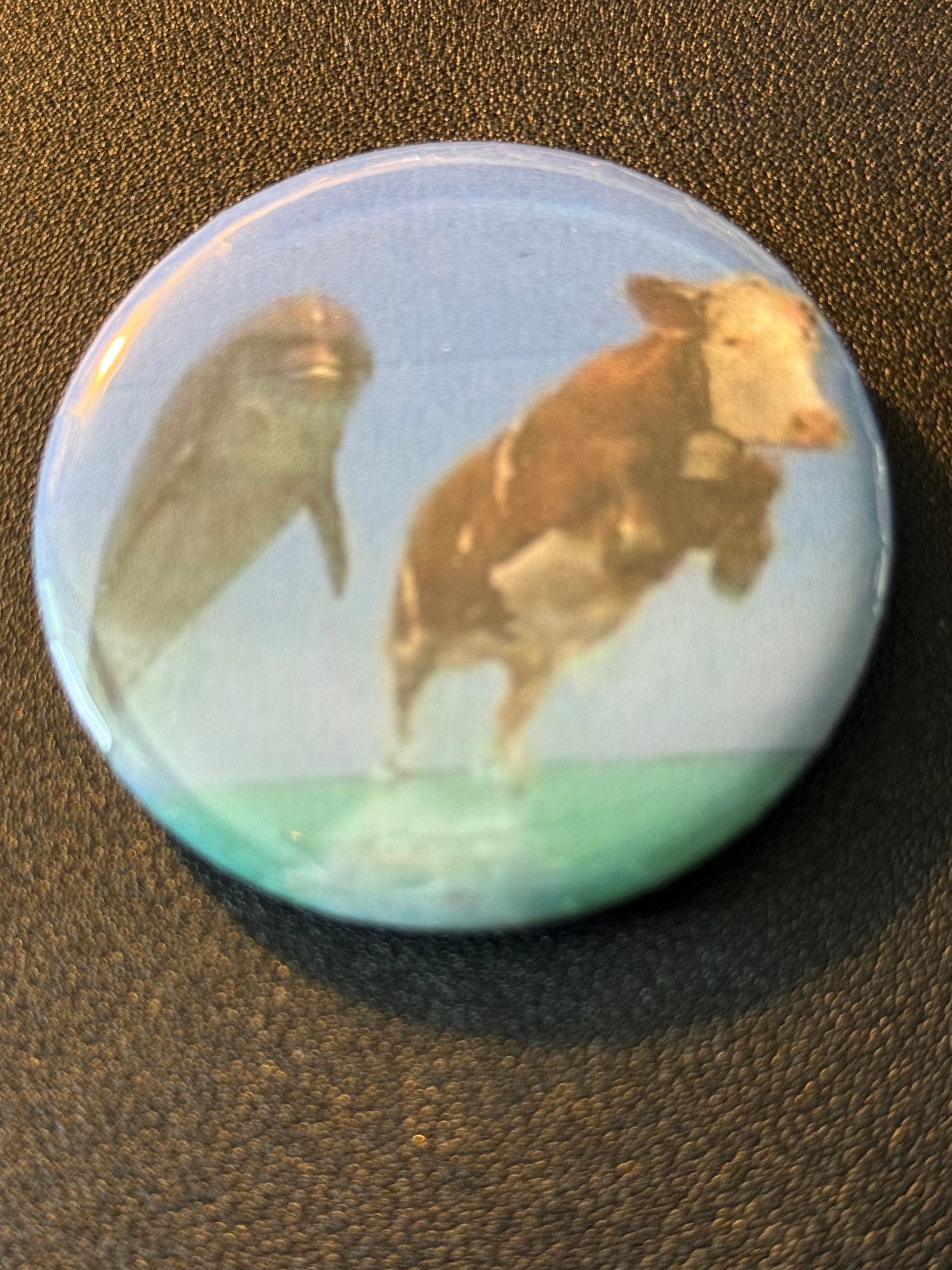 Mary's Button Pins