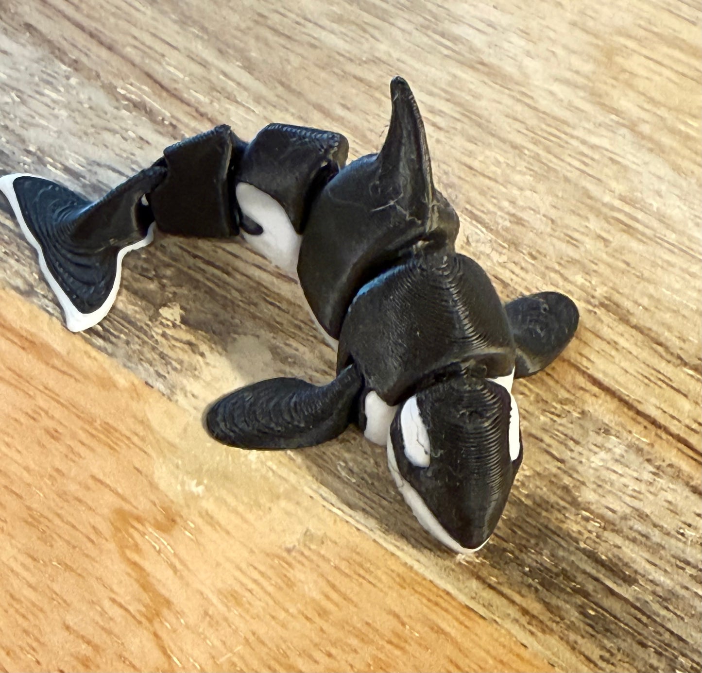 3D Printed Fidgets - Sea Life